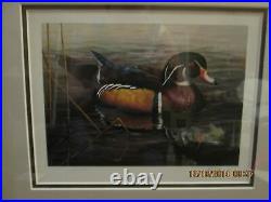 Lot # 223 Ducks Unlimited Inc. Signed And Numbered Print Of 2001 Duck Stamp # 16