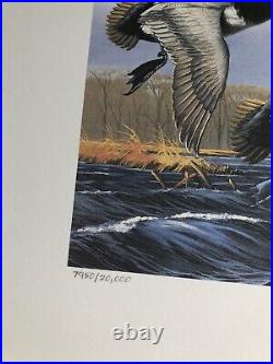 Lot Of Two Duck Stamp Print