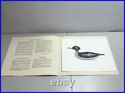 Lot of 5x U. S. Federal Duck Stamp Prints 1984 1986 1987 1978 Maine Maass Wilson