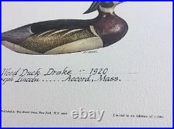 MA1 1974 FIRST of STATE Massachusetts Duck Stamp Print Mint Never Framed withStamp