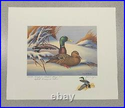 MARYLAND 1974 State Duck Stamp Print John Taylor with STAMP! REMARQUE