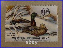 MARYLAND 1974 State Duck Stamp Print John Taylor with STAMP! REMARQUE