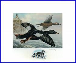 MINNESOTA #29 2005 DUCK STAMP PRINT by David Chapman, remarque + 2 stamps