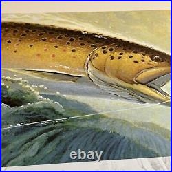 Martin R Murk, Wisc, inland Trout Stamp Print, Signed, Mint Stamp, Remarked. Mint