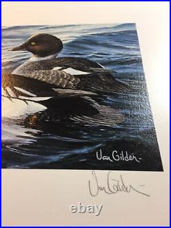 Minnesota Duck Print, 1987, Ron Van Gilder, 358/4200, No Stamp, Mint Print 35 Yrs