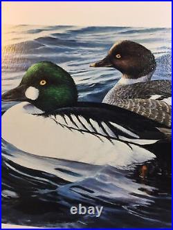 Minnesota Duck Print, 1987, Ron Van Gilder, 358/4200, No Stamp, Mint Print 35 Yrs