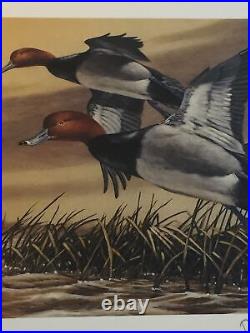 Montana, 1987, Montana Duck Print, Ducks, 849/9,212, No Stamp, Mint. 35 Years Old