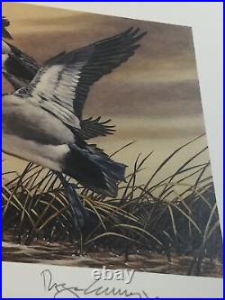 Montana, 1987, Montana Duck Print, Ducks, 849/9,212, No Stamp, Mint. 35 Years Old