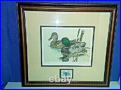 RARE FRAMED 1981 TEXAS DUCK STAMP & PRINT Signed& Numbered LARRY HAYDEN PENCIL