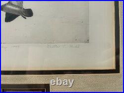 RW10 1943 Federal Duck Stamp Print WALTER BOHL 1st Edition