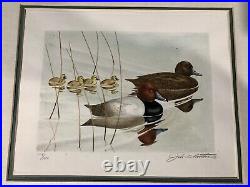 RW27 1960 Federal Duck Stamp Print And Mint Stamp By JOHN RUTHVEN