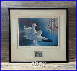 RW37 1970 Duck Stamp Print EDWARD BIERLY 1st Ed. Artist Signed Stamp