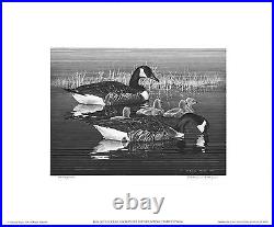 RW43 1976 FEDERAL DUCK STAMP PRINT CANADA GEESE by Alderson Magee List $750