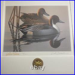 RW50 1983 Federal Duck Stamp Print PHIL SCHOLER MEDALLION Ed. With Stamp