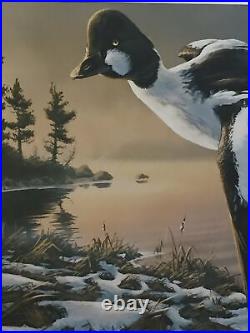 Rick Kelly, 1989-90, Wisconsin, Duck, Common Golden Eye, 278/1500, No Stamp, Mint