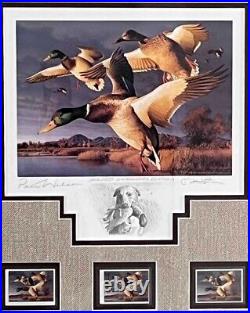 Robert Steiner 1996 California Duck Stamp Print Governors Edition Signed 342/350