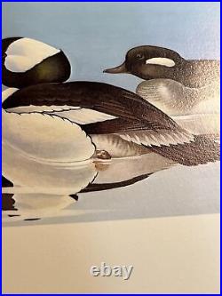 Rockne Knuth, 1979, Wisc Duck Stamp Print, 29/1700, S. Stamp, mint Condition