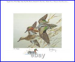 TENNESSEE #11 1989 DUCK STAMP PRINT GREEN WINGED TEAL by Roger Cruwys A. P
