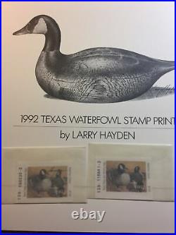 Texas Waterfowl Print, Larry Hayden, 1992, Signed & Mint Stamp, Unframed. #171/5650