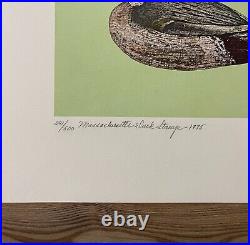 WTDstamps 1975 MASSACHUSETTS State Duck Stamp Print TOM HENNESSEY